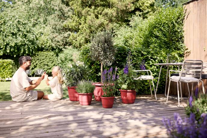 amiga round 47cm rosso teatro